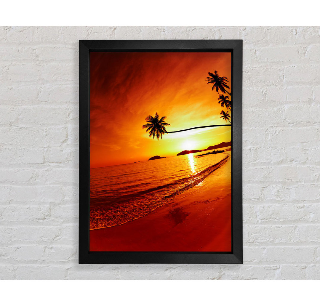 Gerahmtes Bild Ocean Sunset Palm