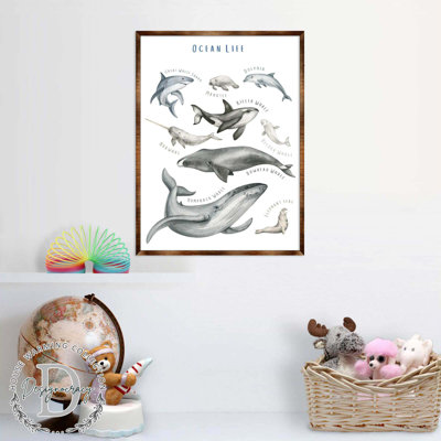 Art encadré Maone Ocean Animals