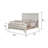 Beaman Upholstered Panel Bed-152724512-152724518