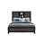 BOOKCASE BED