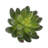 4'' Faux Succulent Plant