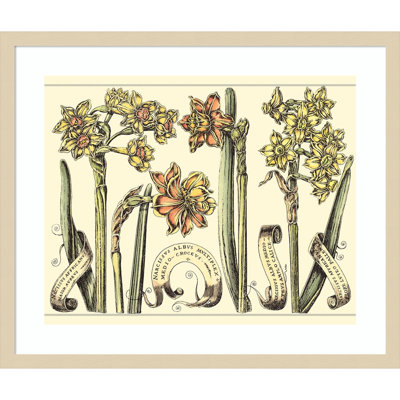 «Narcissus in Bloom II» par Mark W. Langlois, reproduction d'art encadrée sur bois