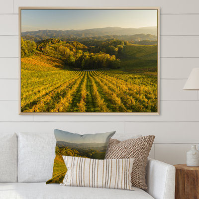 Vineyard Sunset Landscape - Décoration murale traditionnelle sur toile