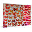 «Red Moths» par Parvez Taj, reproduction d'art sur toile tendue-14230473
