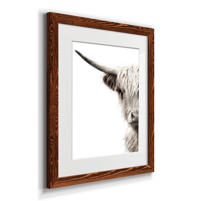 Bétail des Highlands - reproduction de photo, H 24 po x l 18 po x P 1,5 po, Papier avec cadre érable, Blanc