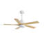 Ventilateur de plafond standard à DEL à 5 pales Athanafis avec télécommande et ensemble d'éclairage inclus-627649165-627649164-627649167