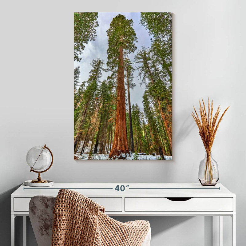 Harnek Giant Sequoia Grove, 30" H x 20" W