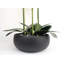 Plant-88685042-88685043
