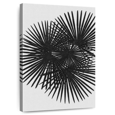 Harnek Fan Palm BW