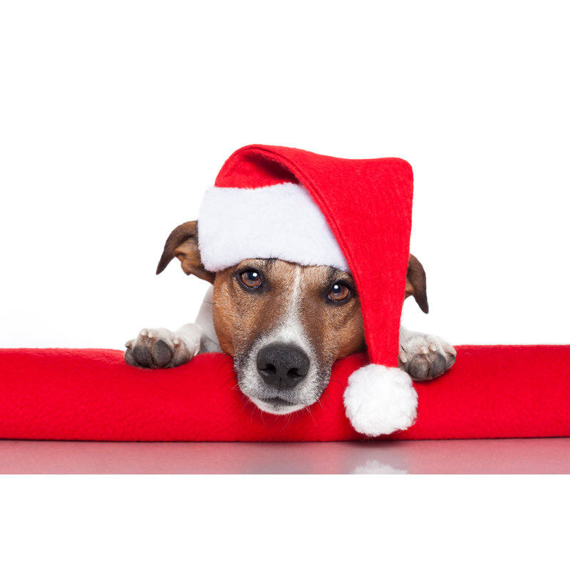 Christmas Dog by Damedeeso - Wrapped Canvas Print, 61cm H x 91cm W