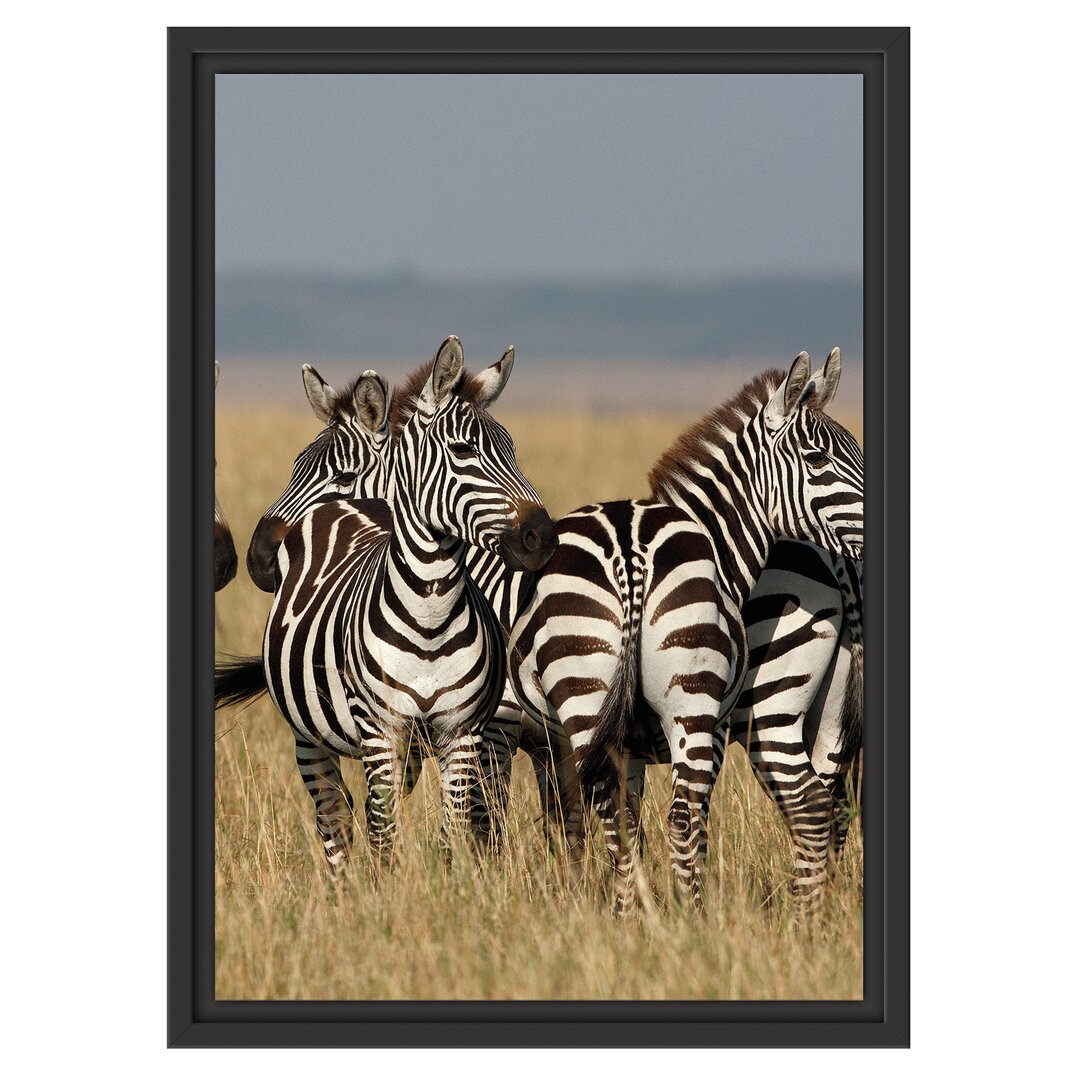 Gerahmtes Wandbild kleine Zebrahorde