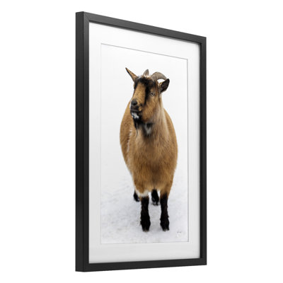 «Brown Little Goat», reproduction sous verre encadrée par Deborah Revell