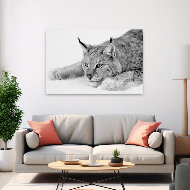 Lynx - photographie, animaux, chats, H 40 po x l 60 po