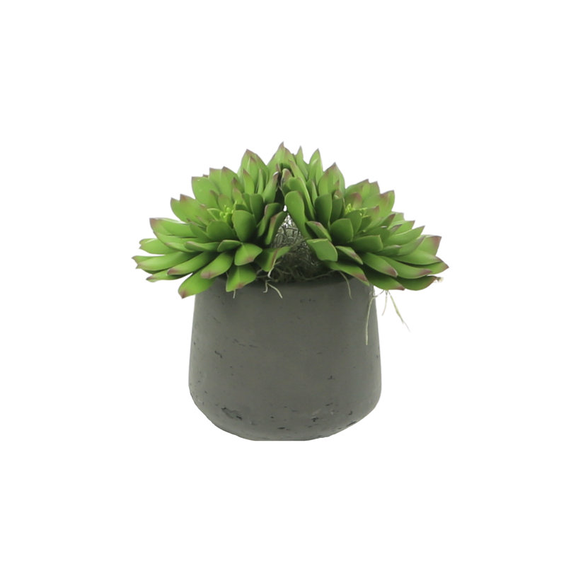 Rockridge Faux Succulent Plant in Fiberstone Pot, Black