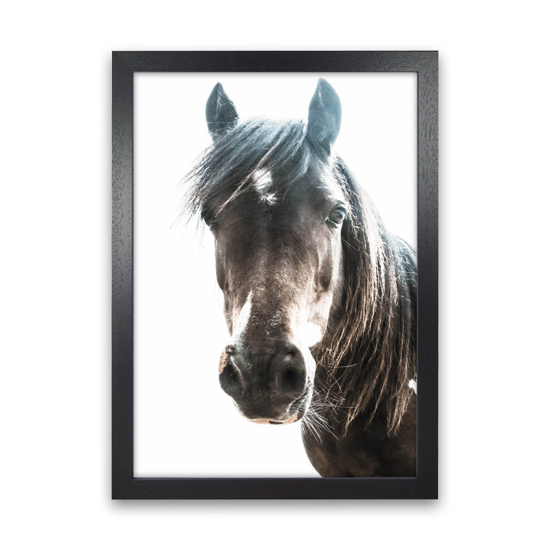 Brown Horse by Victoria Frost - Print, Black Framed, 63cm H x 46cm W x 3cm D