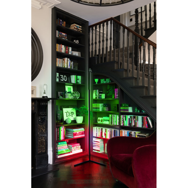 Laurist 142cm LED Novelty Floor Lamp Set, Black