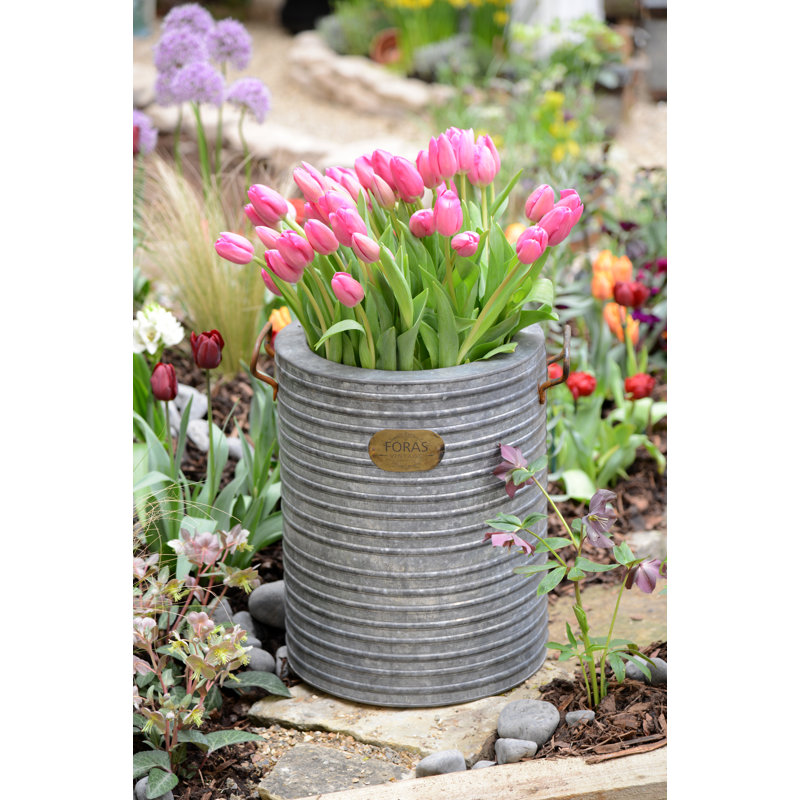 Becker Metal Pot Planter, 49.7cm H x 47.5cm W x 47.5cm D
