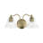 Deshaunda 2 - Light Dimmable Vanity Light-887119512