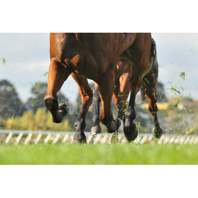 «Horse Racing Action» par Quentinjlang - Photographie sur toile tendue
