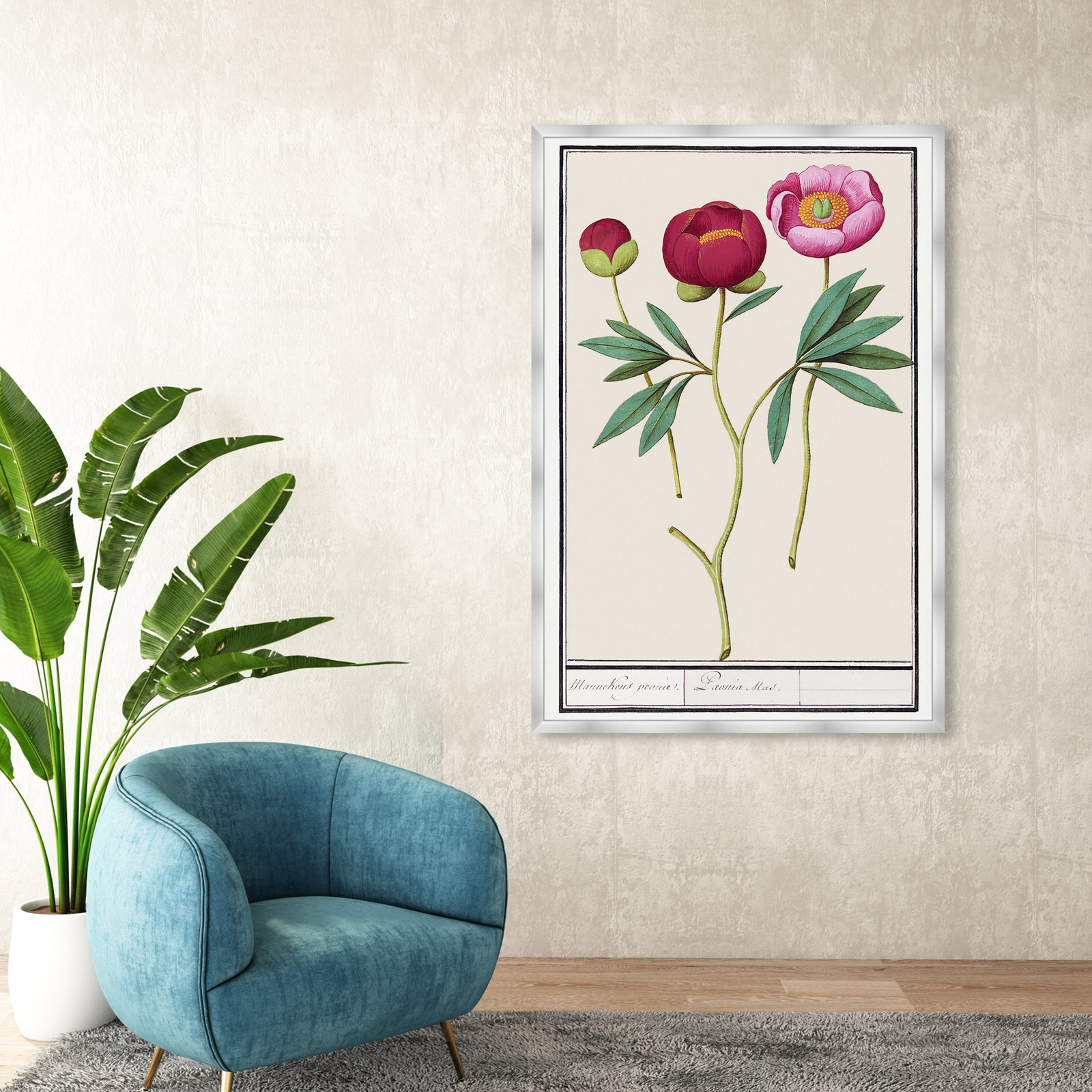 Red and Pink Peony Botanical Study Print, 56" H x 38" W, Silver
