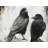 Two Crows Birds Polyester Placemat - Industrial Bedroom Decor