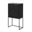 Armoire 31,5 x 16,5 x 60 po, noir