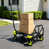 Jaune est en rupture de stock