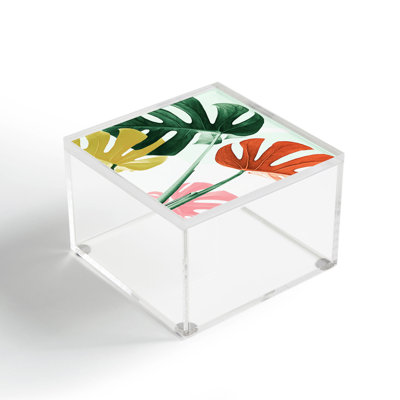 Plastic Decorative Box