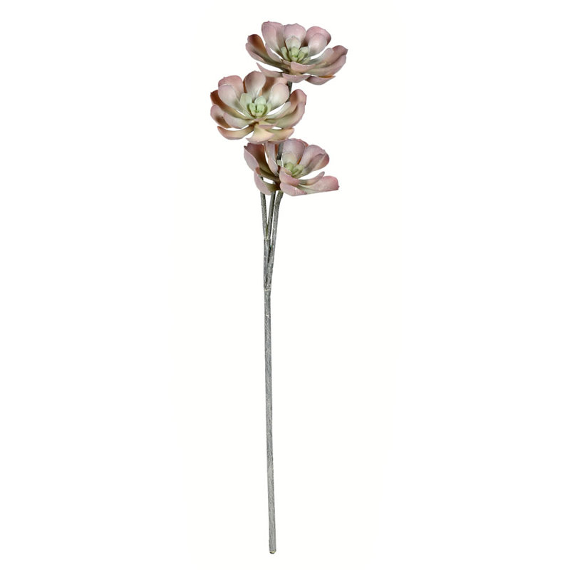 Artificial Apple Peperomia Spray, Brown