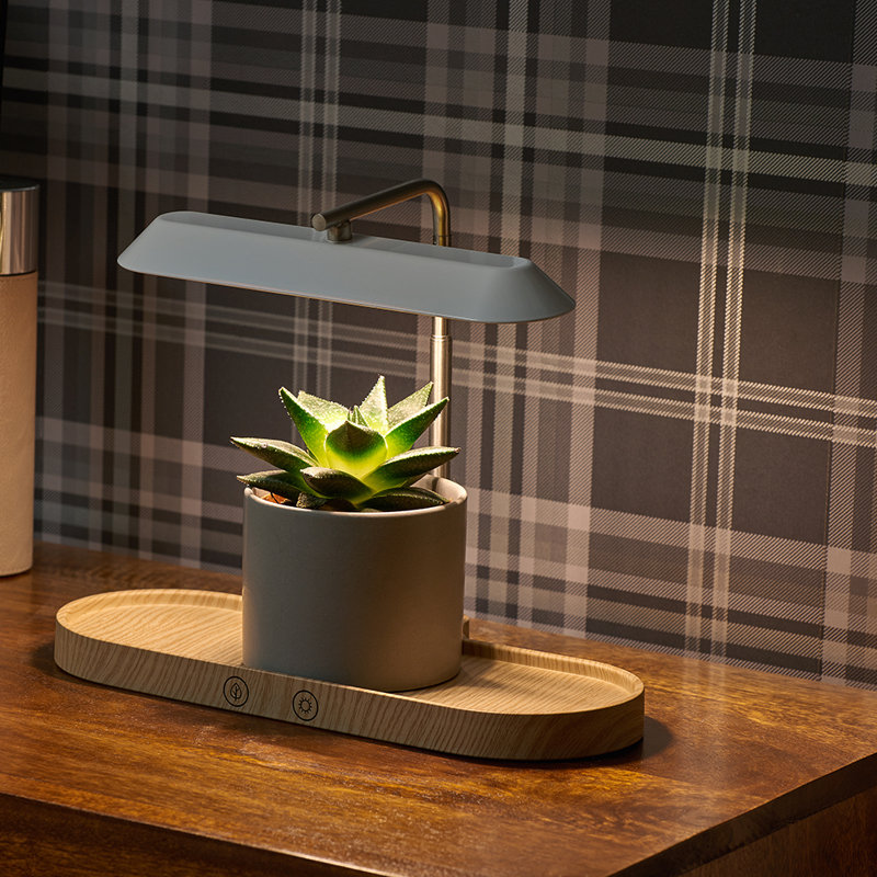 Tico Adjustable Wood USB Novelty Lamp