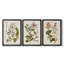 «Vintage Flowering Trees II», ensemble de 3 impressions sur toile encadrées-428839007-428839002