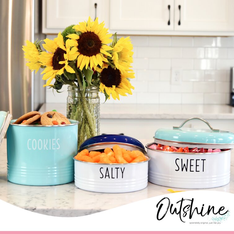 https://assets.wfcdn.com/im/65526044/resize-h755-w755%5Ecompr-r85/1513/151364010/Outshine+Farmhouse+Round+Tin+Snack+Containers+with+Lids.jpg