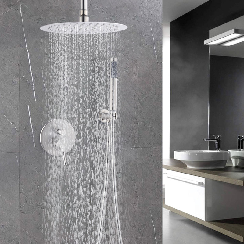 Pomme de douche 10 pouces et unité portable en nickel brossé pour une décoration confortable dans la salle de bain