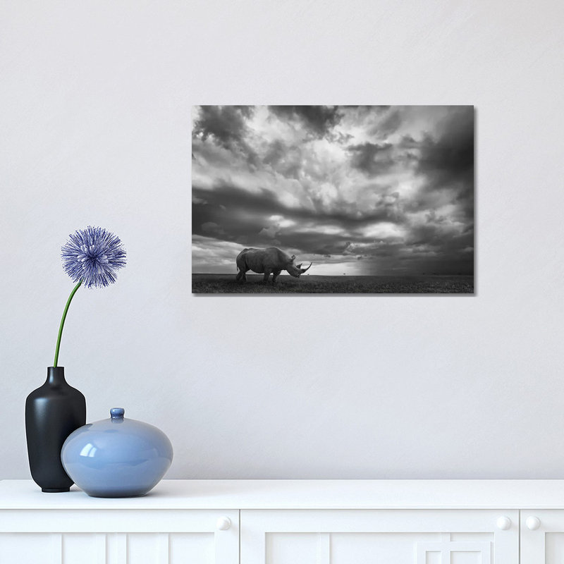 Rhino Land by Mario Moreno - Print on Canvas, Wrapped Canvas, 30.48cm H x 45.72cm W x 1.91cm D