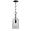 Luminaire suspendu en pot 1 lumière Clematite-293552708-293552705