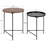 Gwynn Tray Top Nesting Tables-1133529866