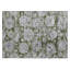 Tapis intérieur / extérieur en polyester tissé à la machine Heffington gris / vert-72305899