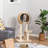 Levi 39.25'' H Cat Tree