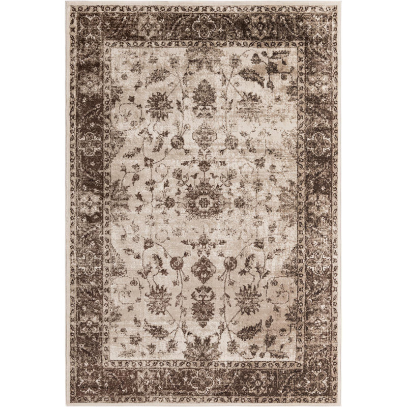Emigdio Oriental Indoor Rug, Rectangle 6' x 9'