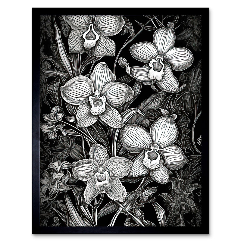 Toynsbee White On Black Blooming Orchid Flower Plants - Single Picture Frame Print