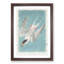 Roseate Tern Bird by John James Audubon - Picture Frame Painting Print-55610632-55610637