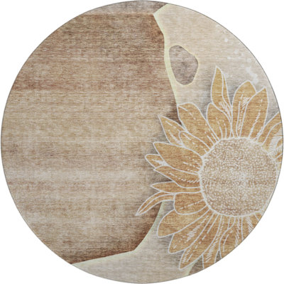 Premium Machine Washable Prisco Brown Rug