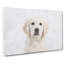 Golden Retriever Puppy Painting - Wrapped Canvas-56659500