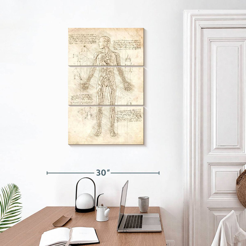 Keiri Human Circulatory System, 32" H x 20" W