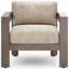 Beau Outdoor Lounge Chair-461379372