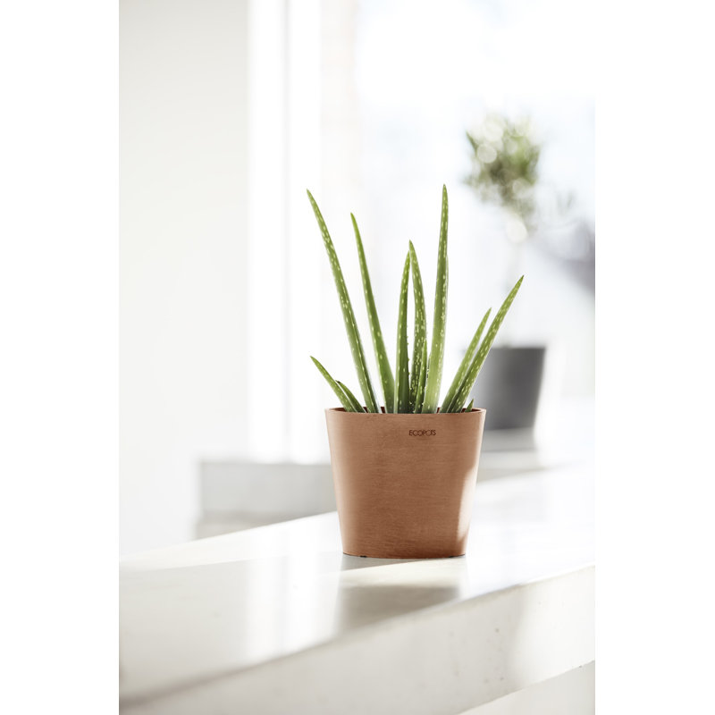 Ecopots Indoor/Outdoor Modern Round Recycled Plastic Planter Flower Pot, 7" H x 8" W x 8" D, Terracotta, No