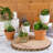 Mixed Assortment Arrangement