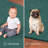 Modern Plush Pet and Kids Friendly Solid Color Teal Area Rugs, Stain & Fade Resistance, Perfect for Living Room, Dining Room, Bedroom, Playroom and Kidsroom, Event, Wedding, Parsons Rug-151805657