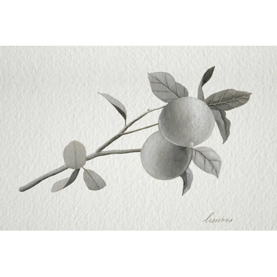 Limonero II by Grace Popp - Graphic Art