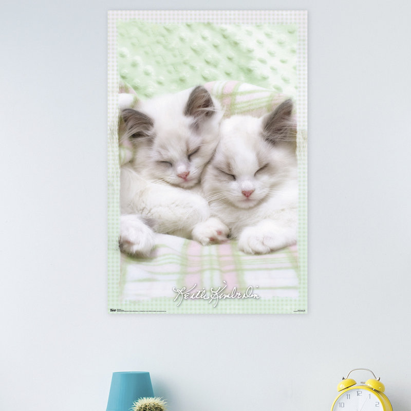 Impression sur papier kimberlin-chat 09